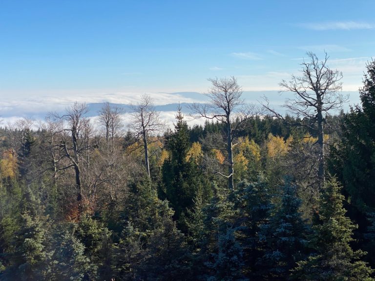 Blick vom Kreuzberg